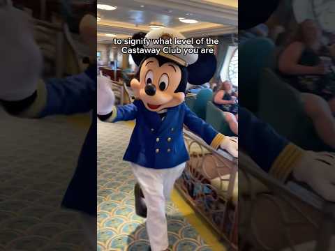 4 FREE Disney Cruise Souvenirs #disneycruise #disneycruiseline #disney