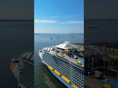 Carnival VS Royal: Who’s better? 🤔
